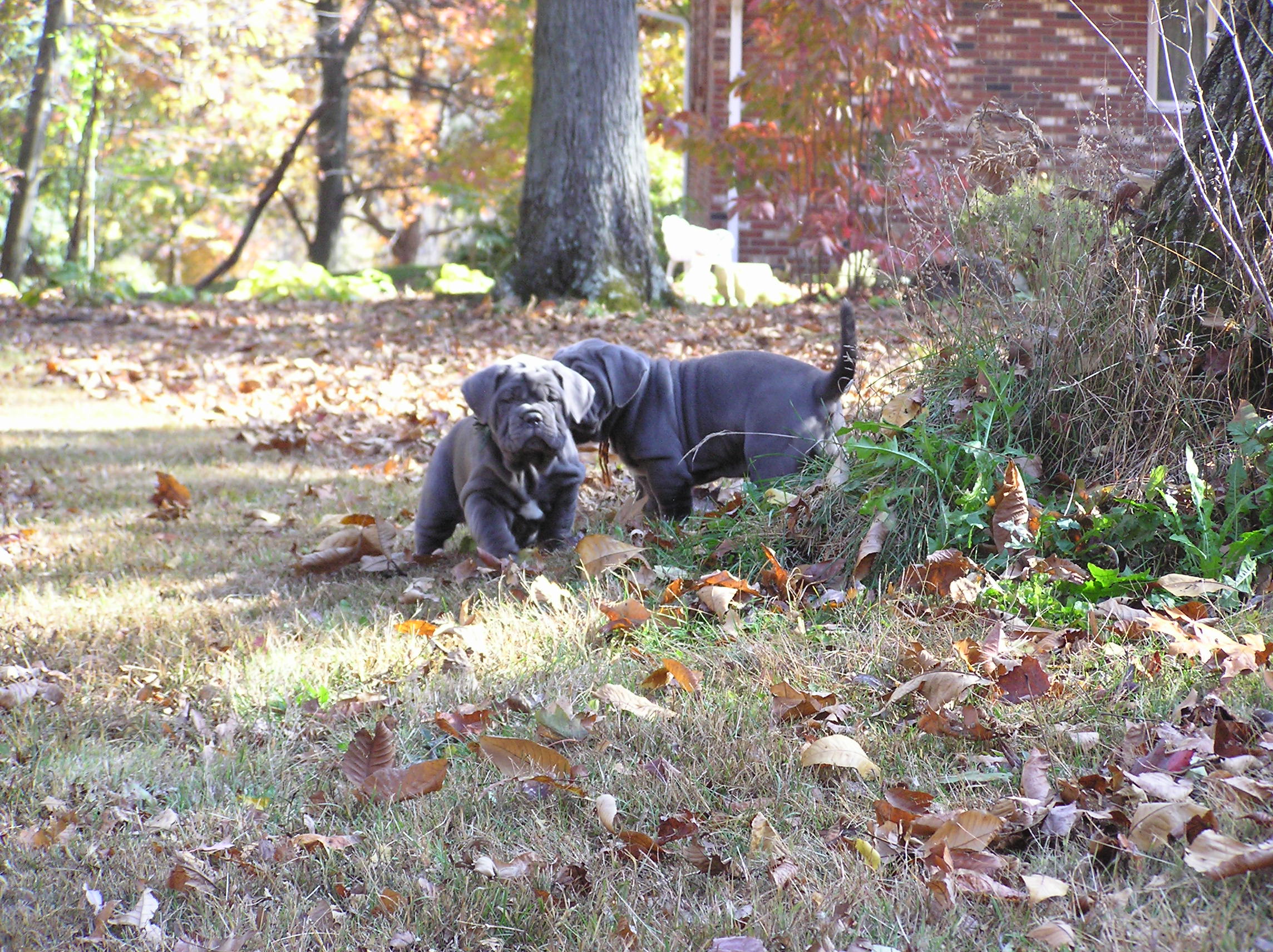 Please ask for a copy!