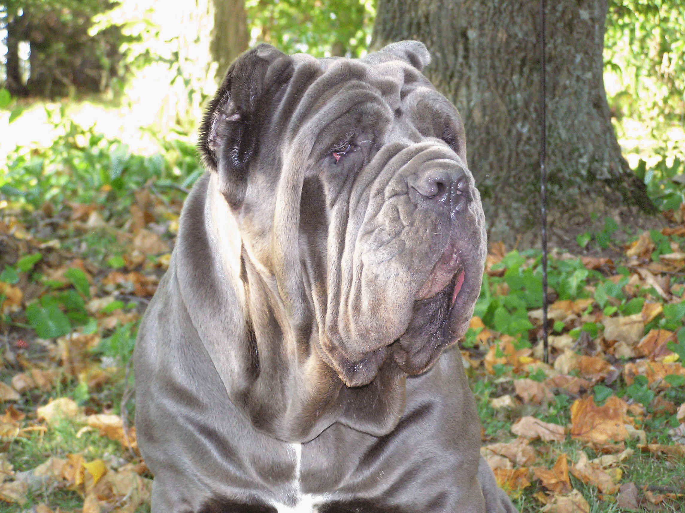 Please ask for a copy!