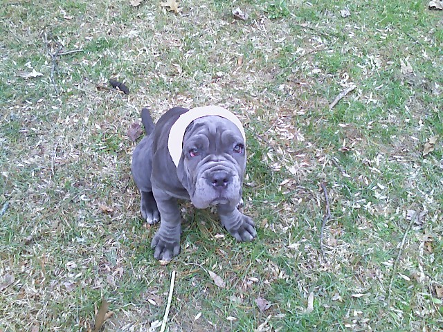 Please ask for a copy!