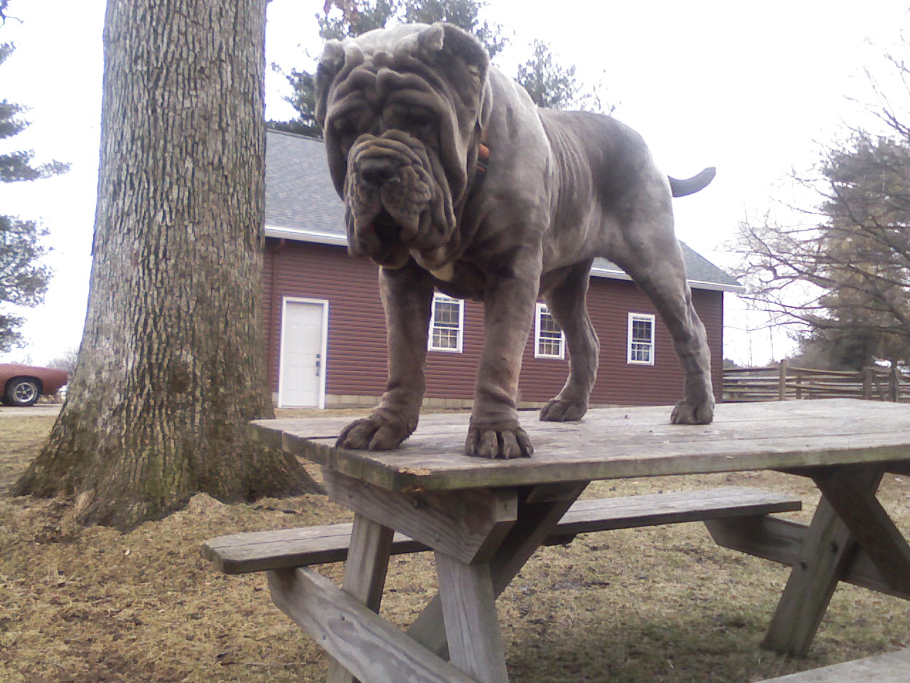 Please ask for a copy!