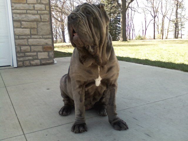 Please ask for a copy!