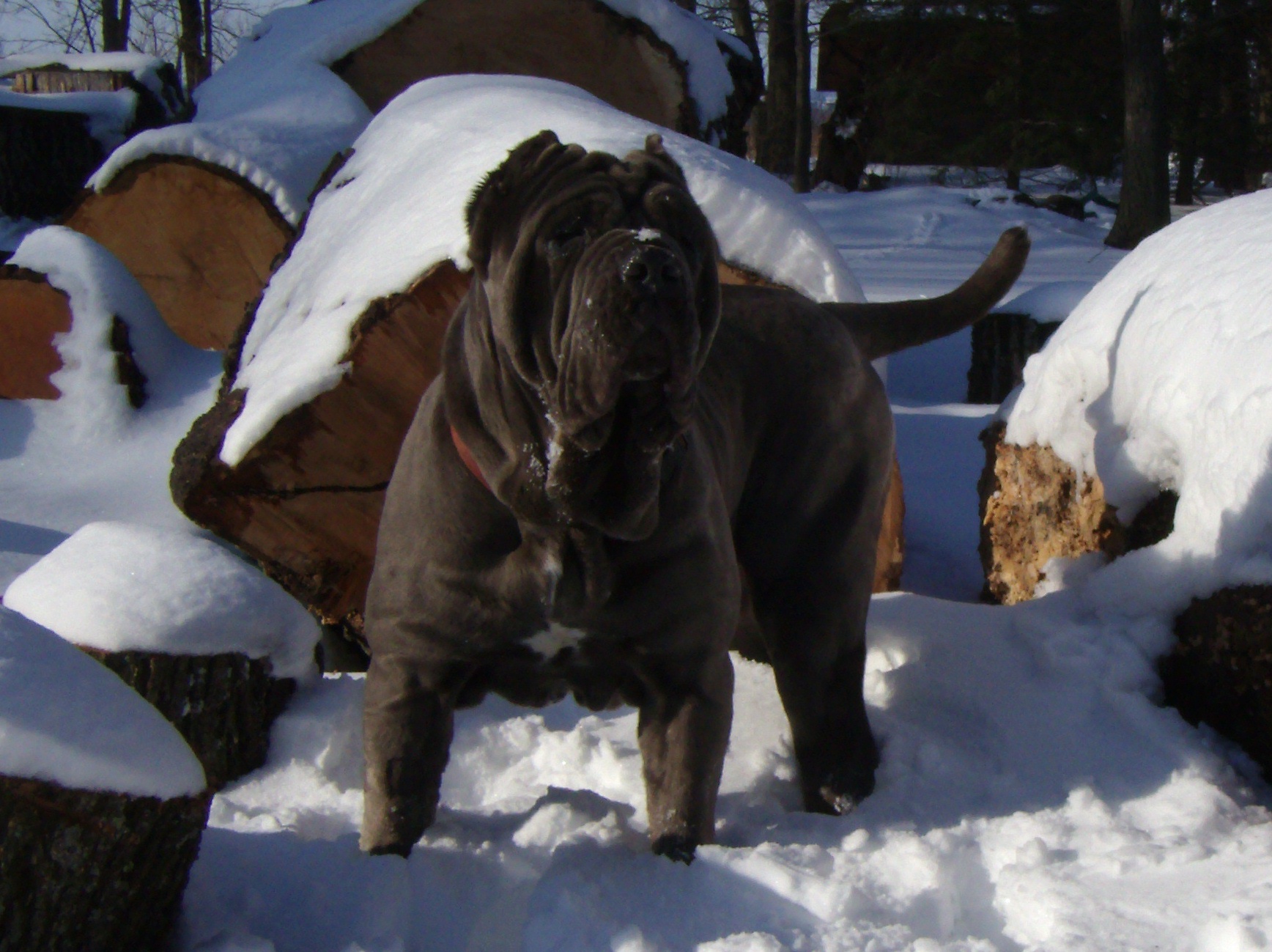 Please ask for a copy!