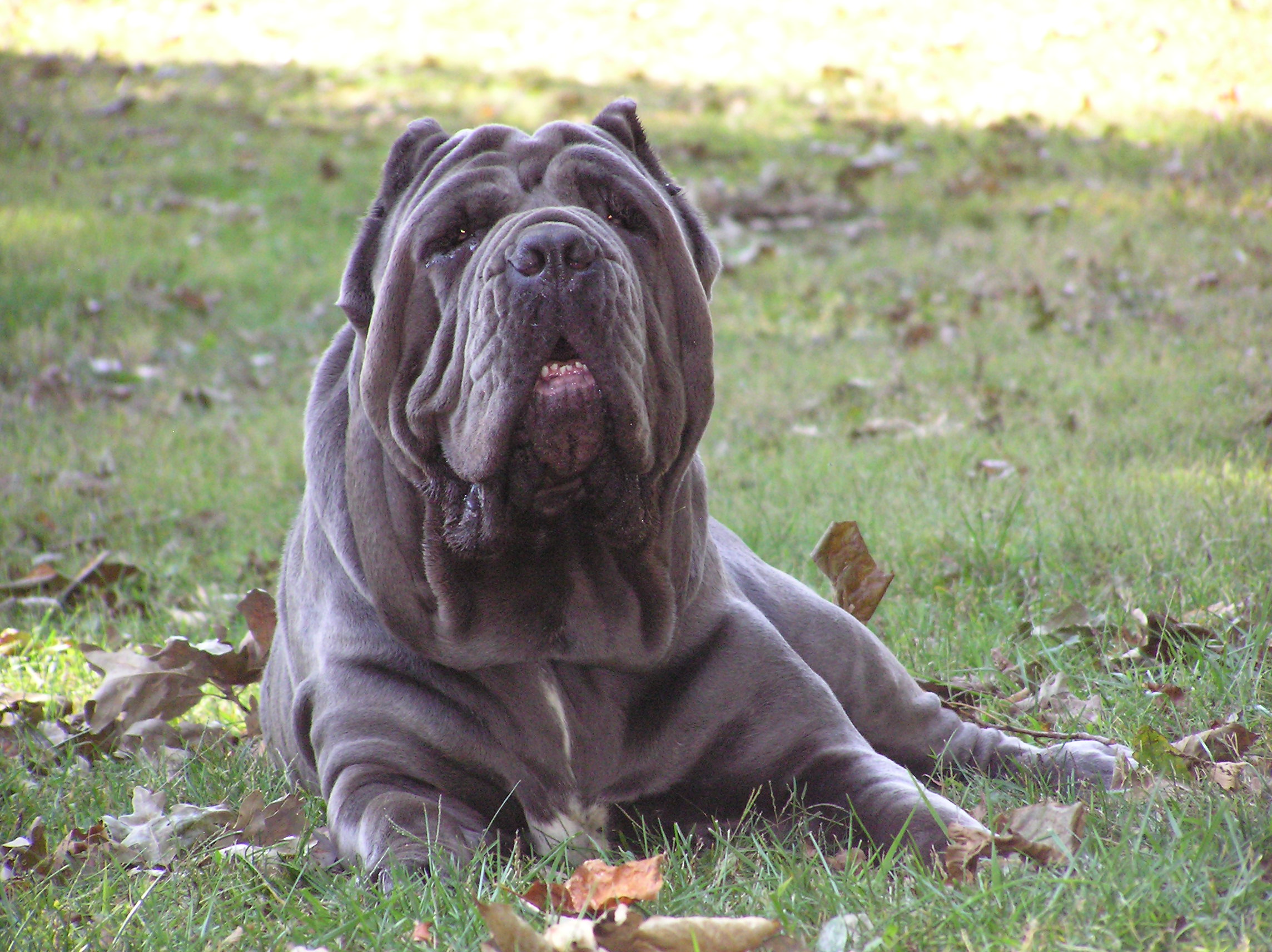 Please ask for a copy!