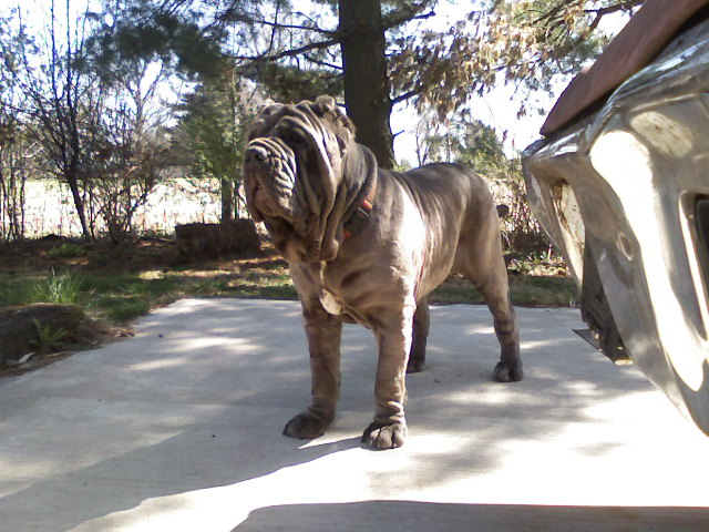 Please ask for a copy!