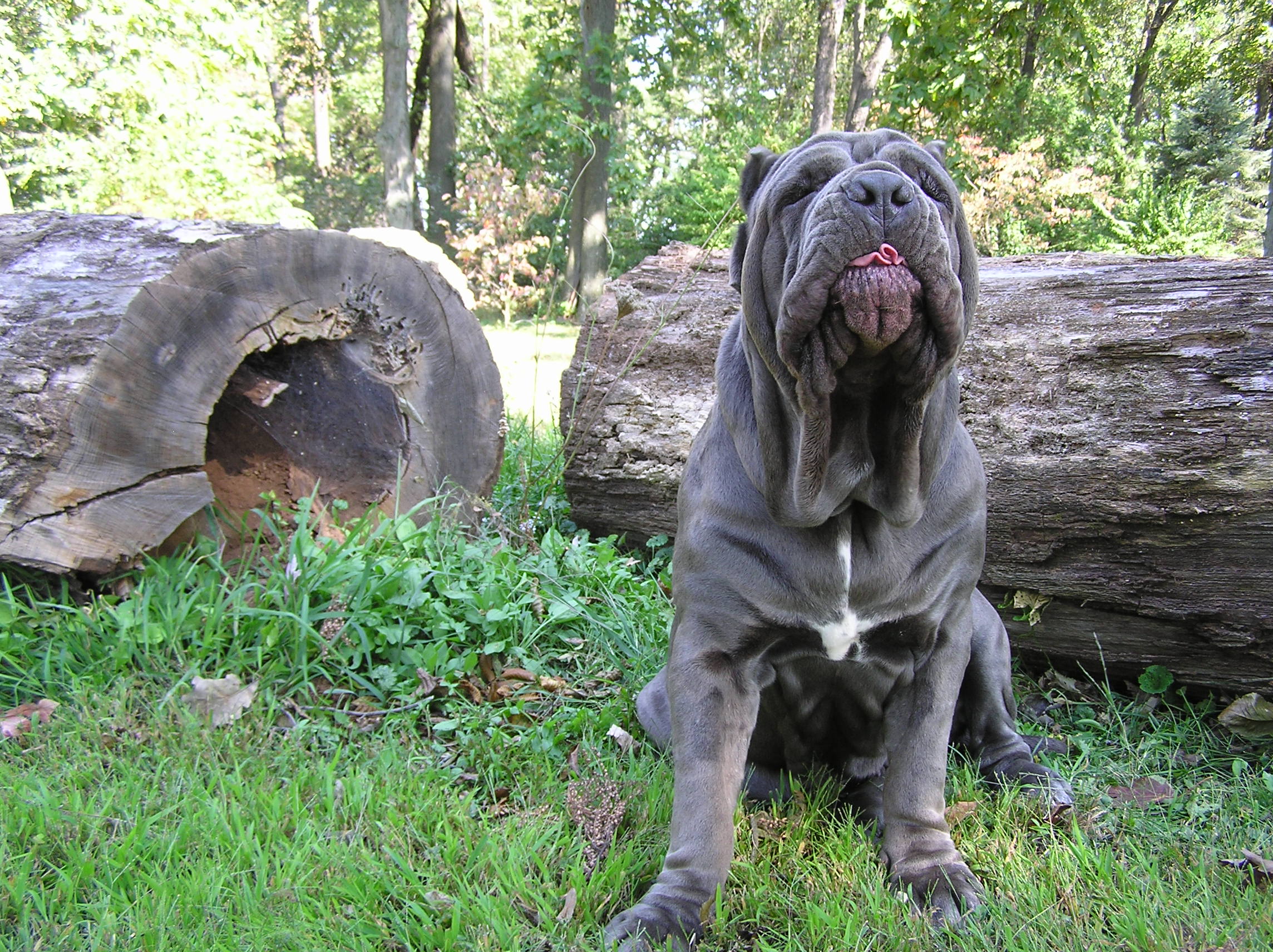 Please ask for a copy!