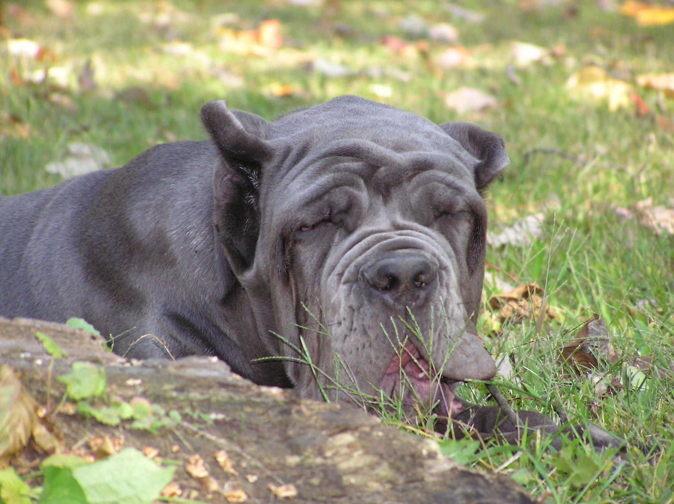 Please ask for a copy!