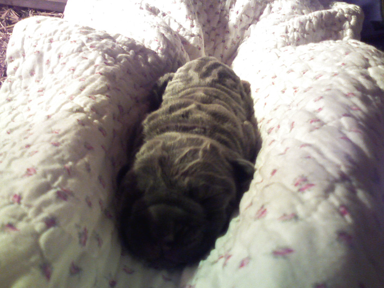 Please ask for a copy!