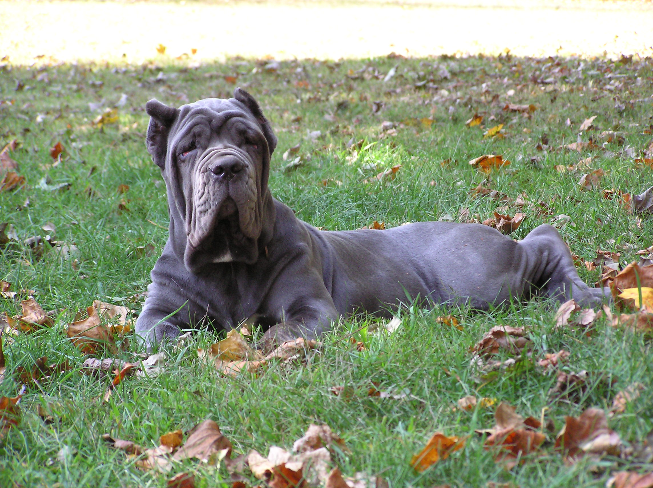 Please ask for a copy!