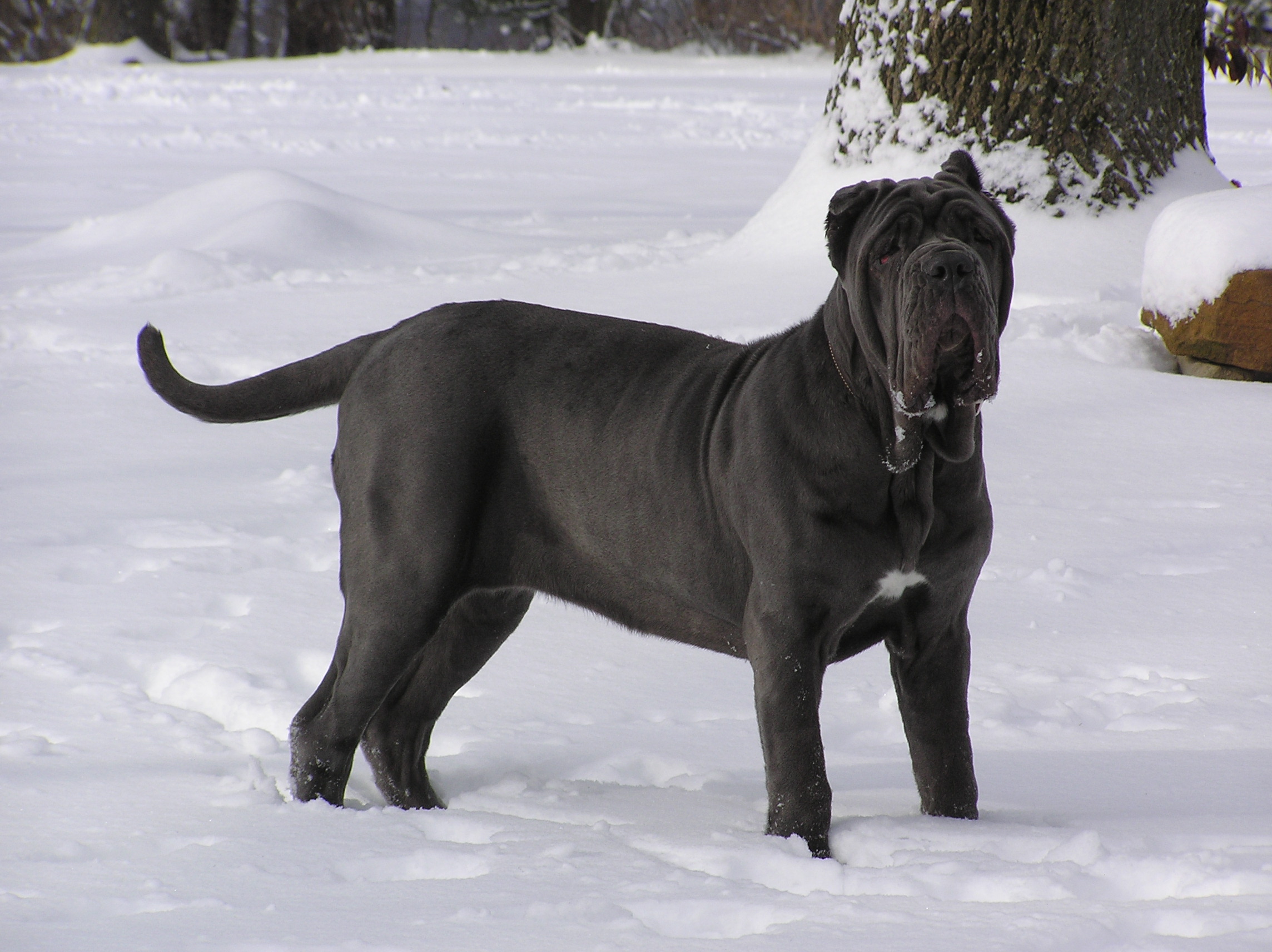 Please ask for a copy!