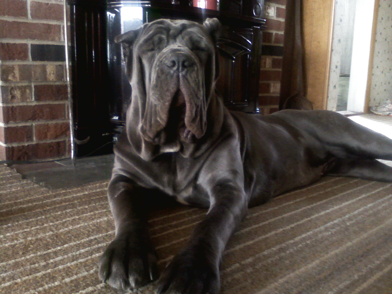 Please ask for a copy!