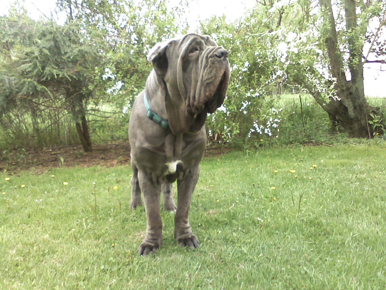 Please ask for a copy!