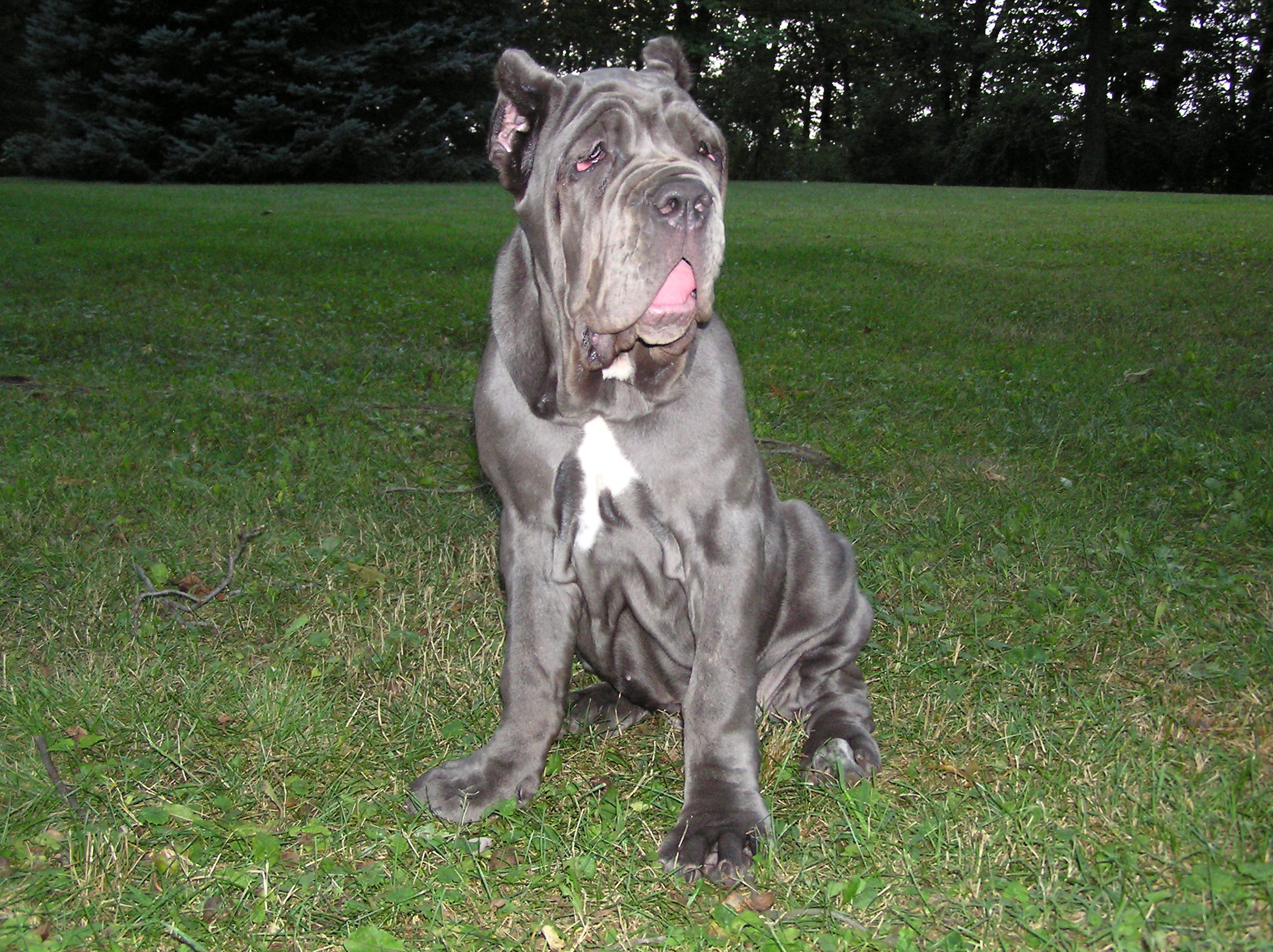 Please ask for a copy!