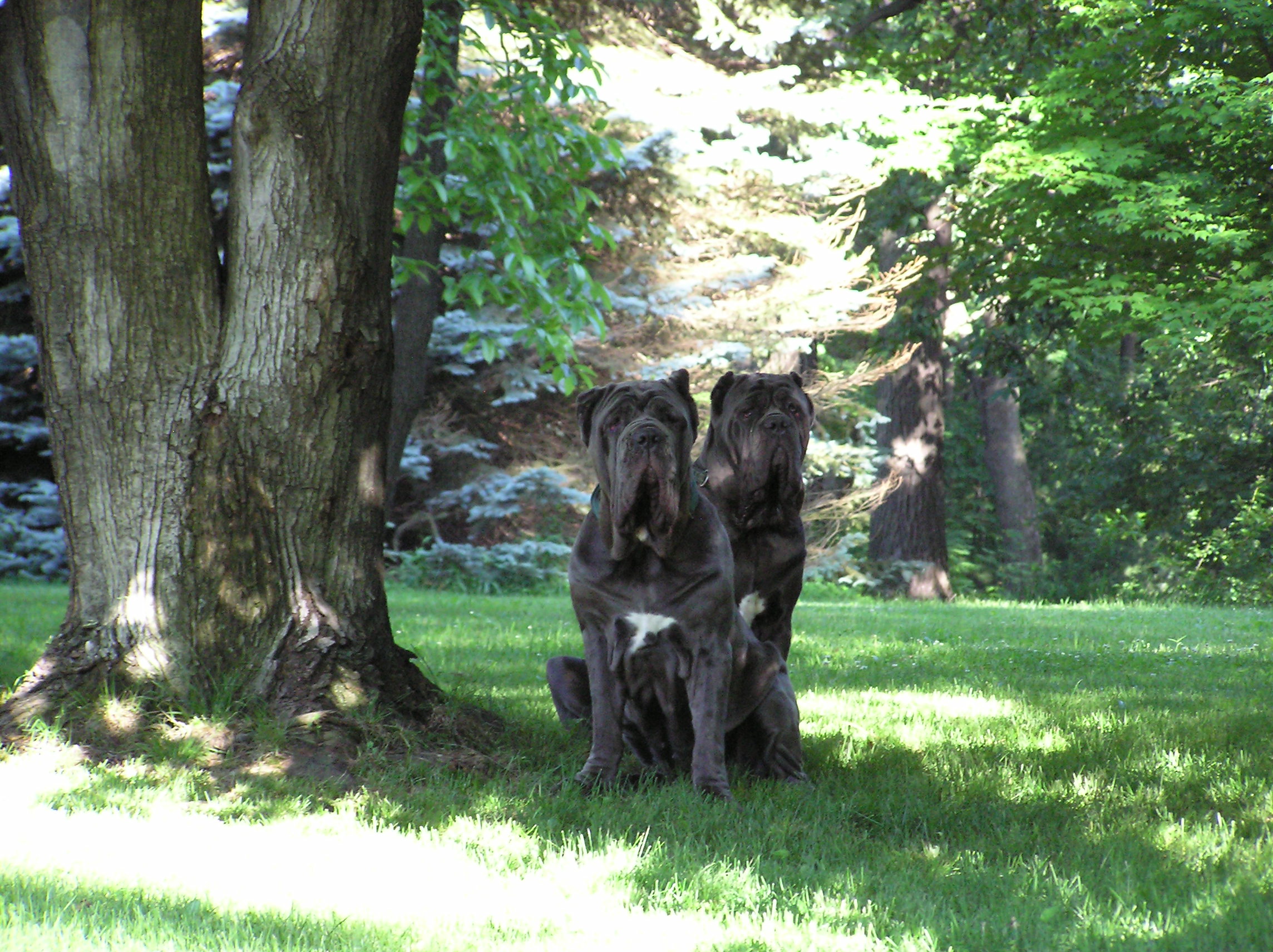 Please ask for a copy!