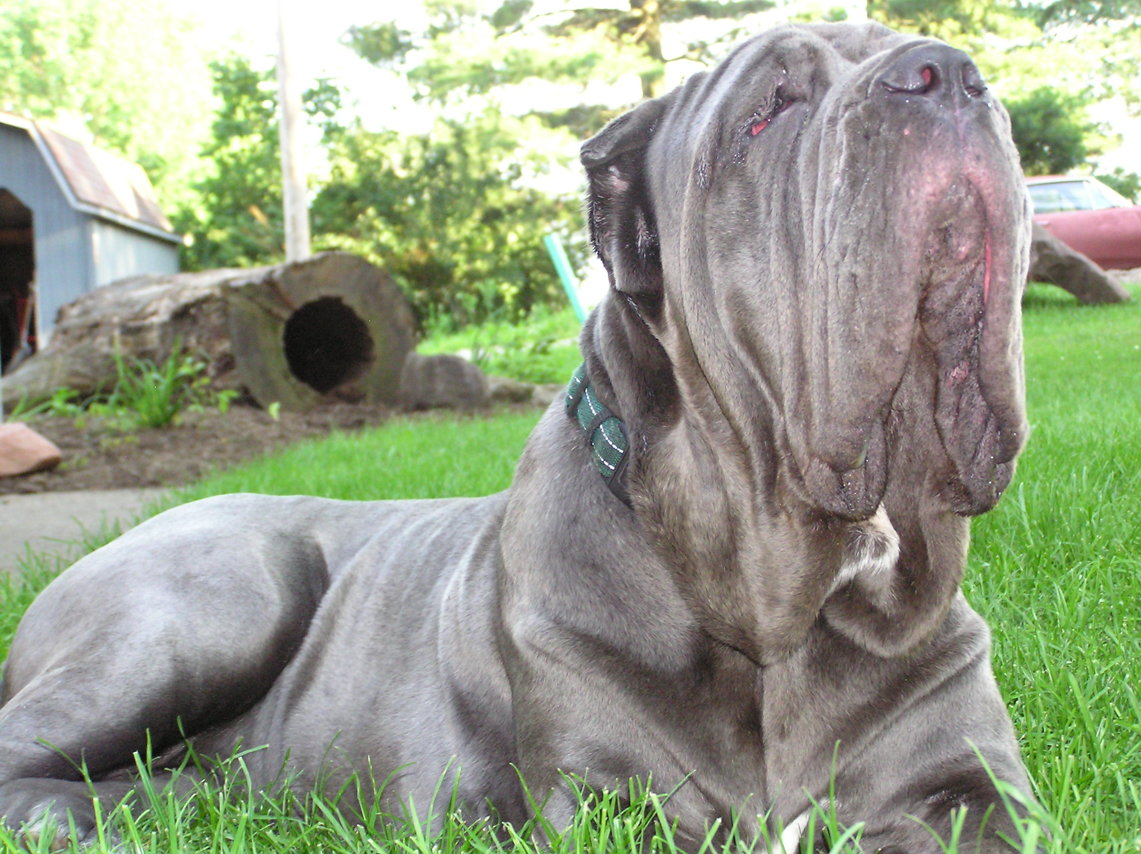 Please ask for a copy!