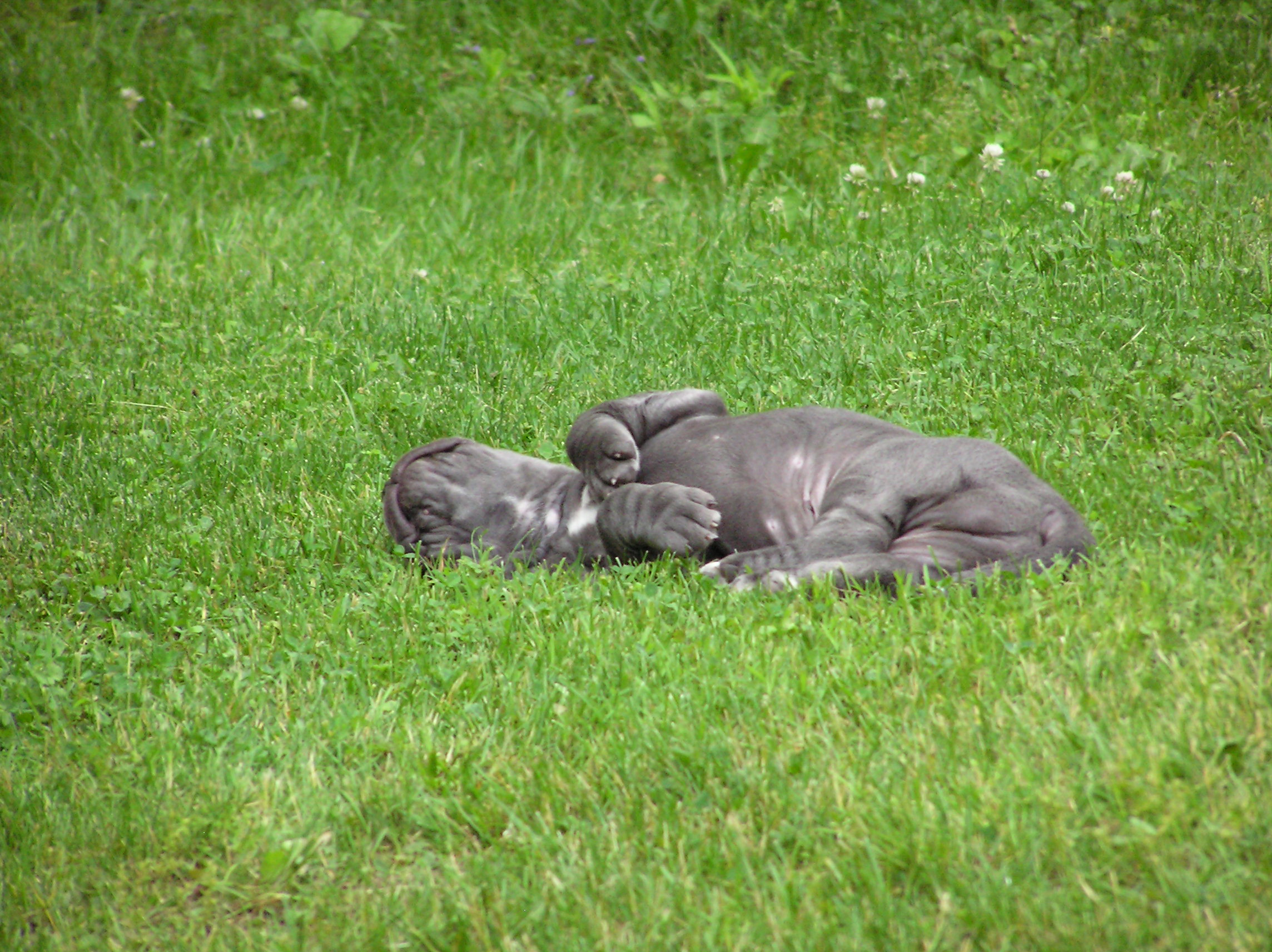 Please ask for a copy!