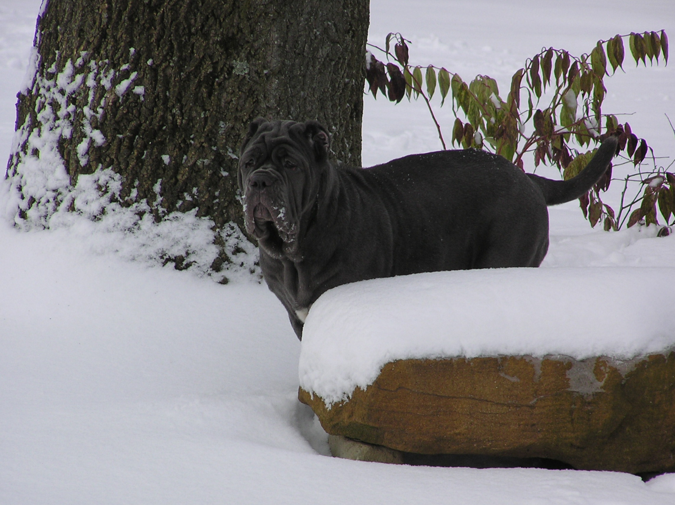 Please ask for a copy!