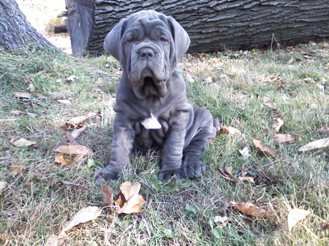 Please ask for a copy!