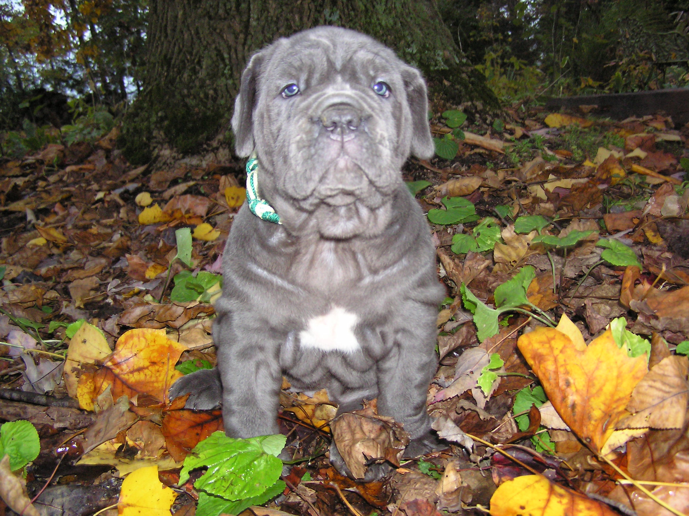 Please ask for a copy!