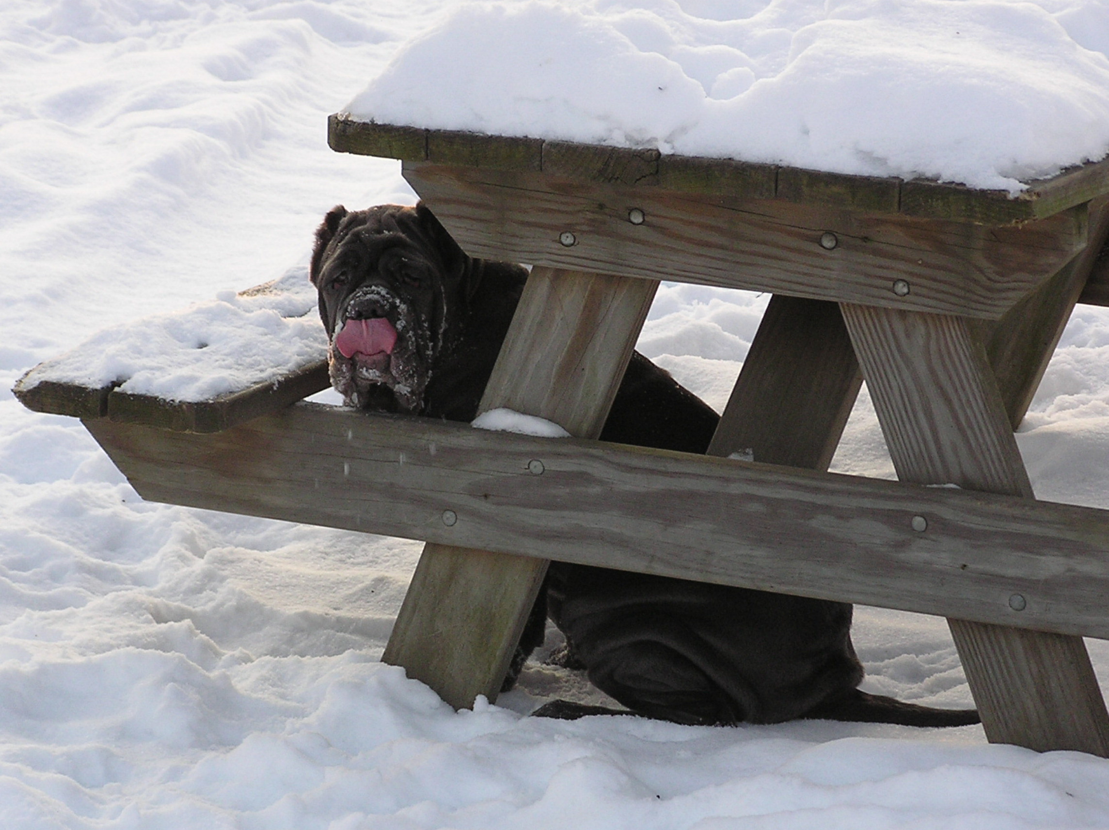 Please ask for a copy!