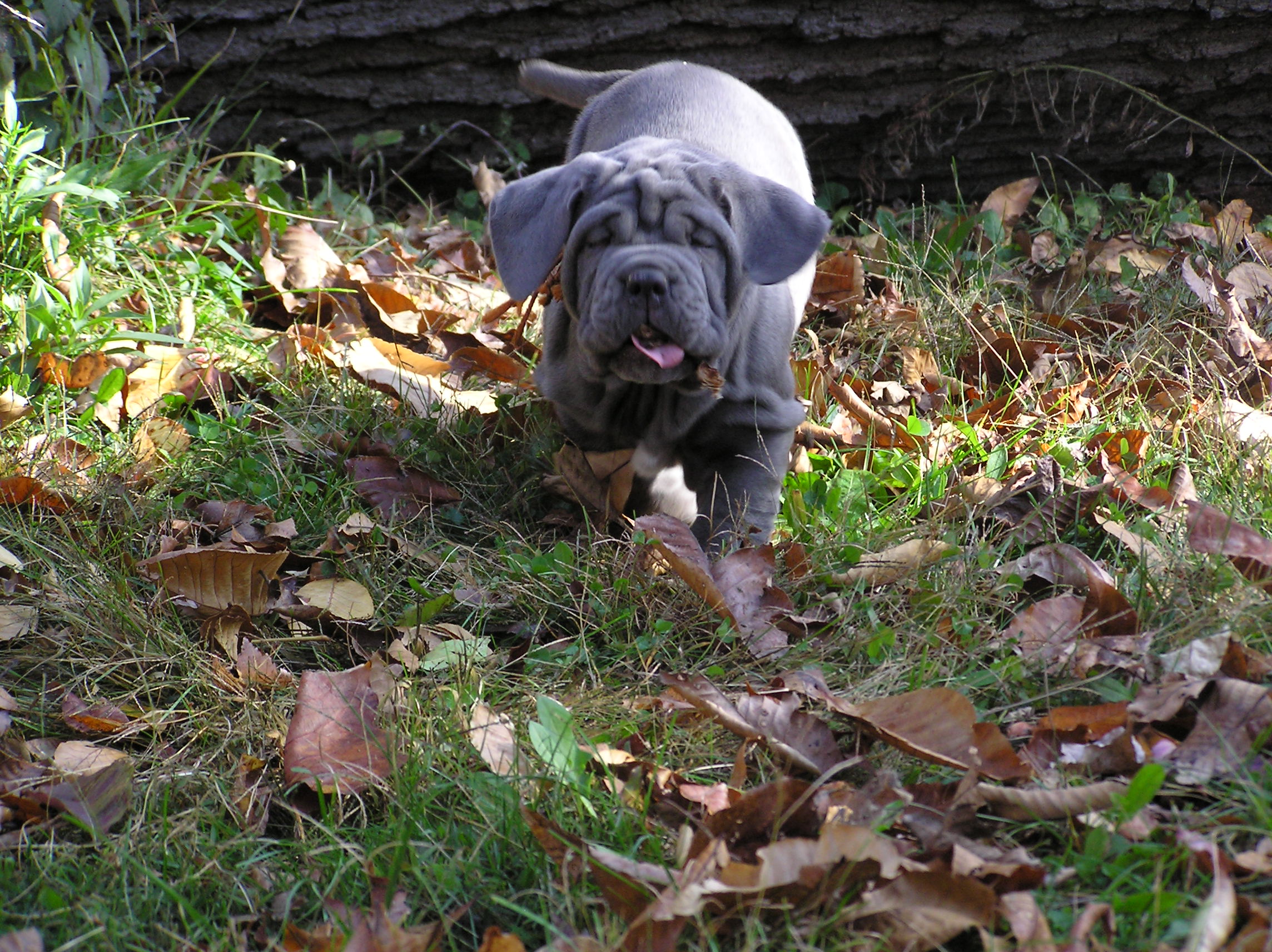 Please ask for a copy!