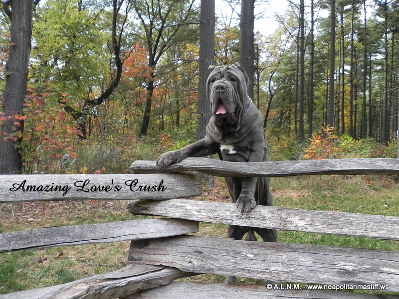 Please ask for a copy :)