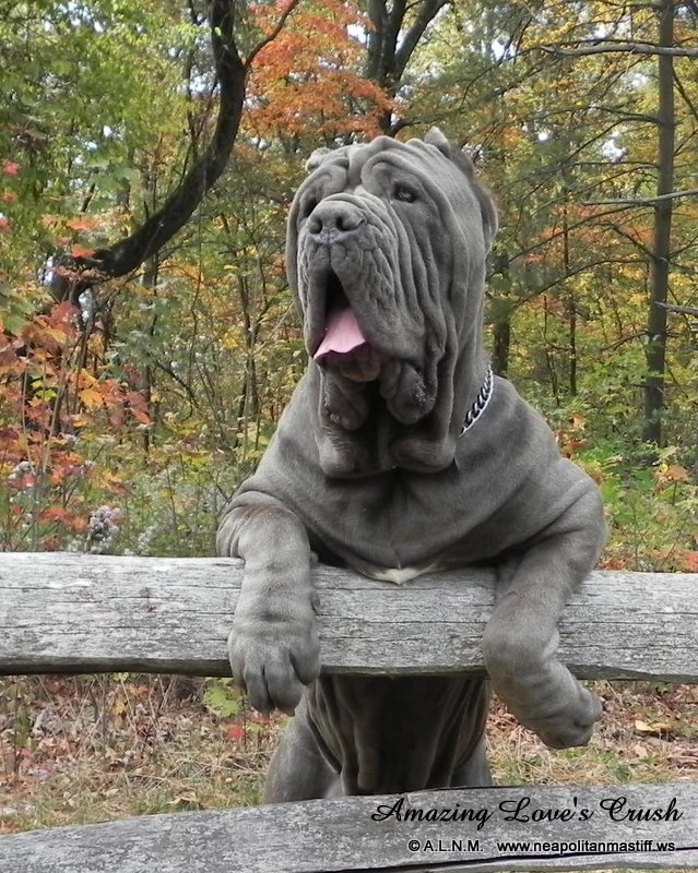 Please ask for a copy :)