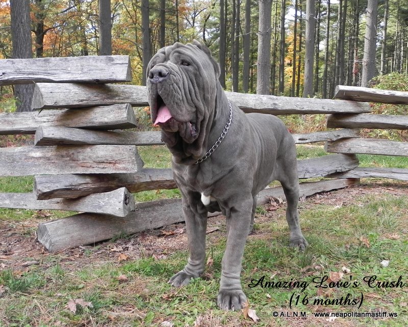 Please ask for a copy :)