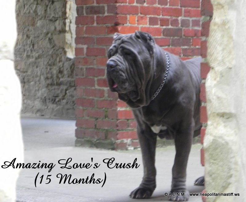 Please ask for a copy :)