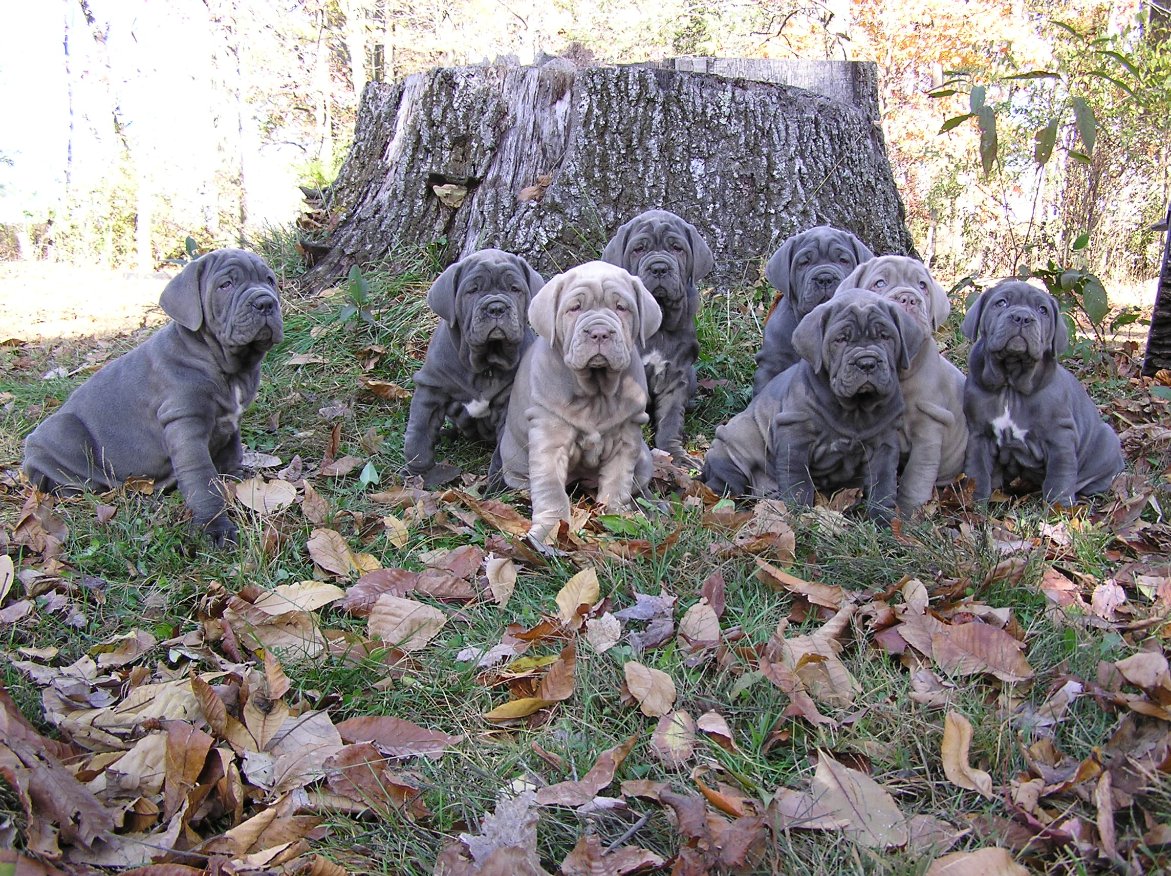 Please ask for a copy!