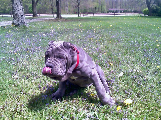 Please ask for a copy!