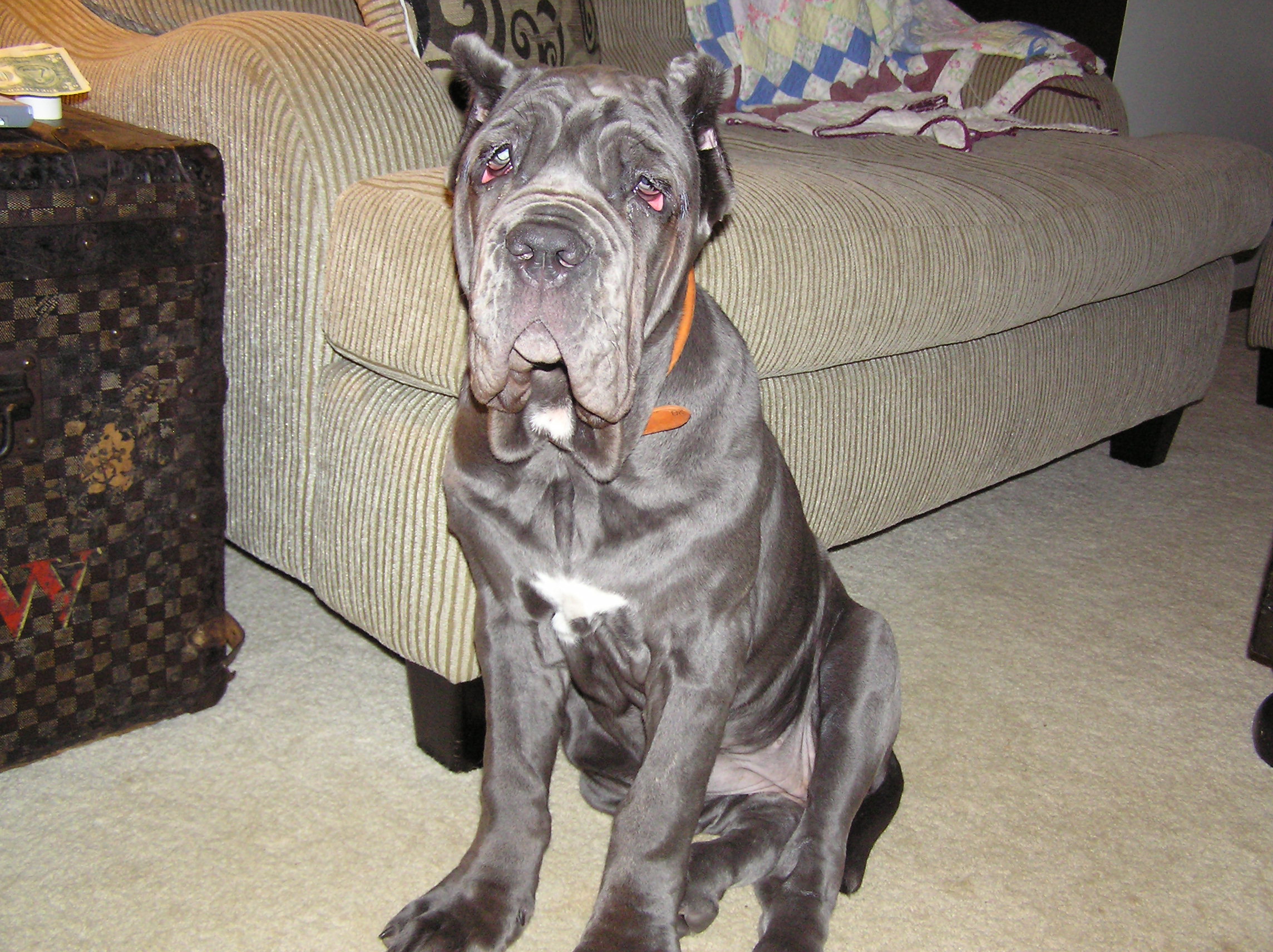 Please ask for a copy!