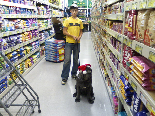 Please ask for a copy!