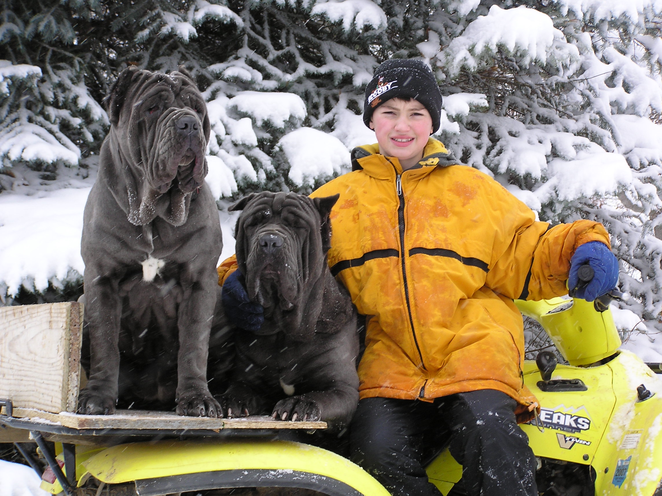 Please ask for a copy!