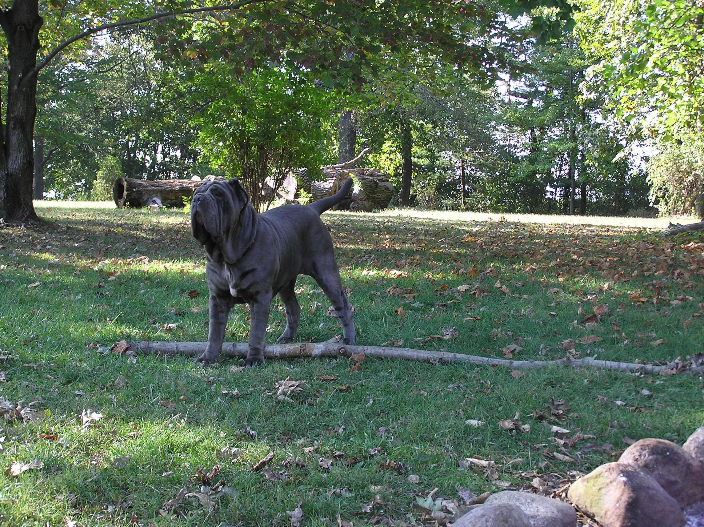 Please ask for a copy!