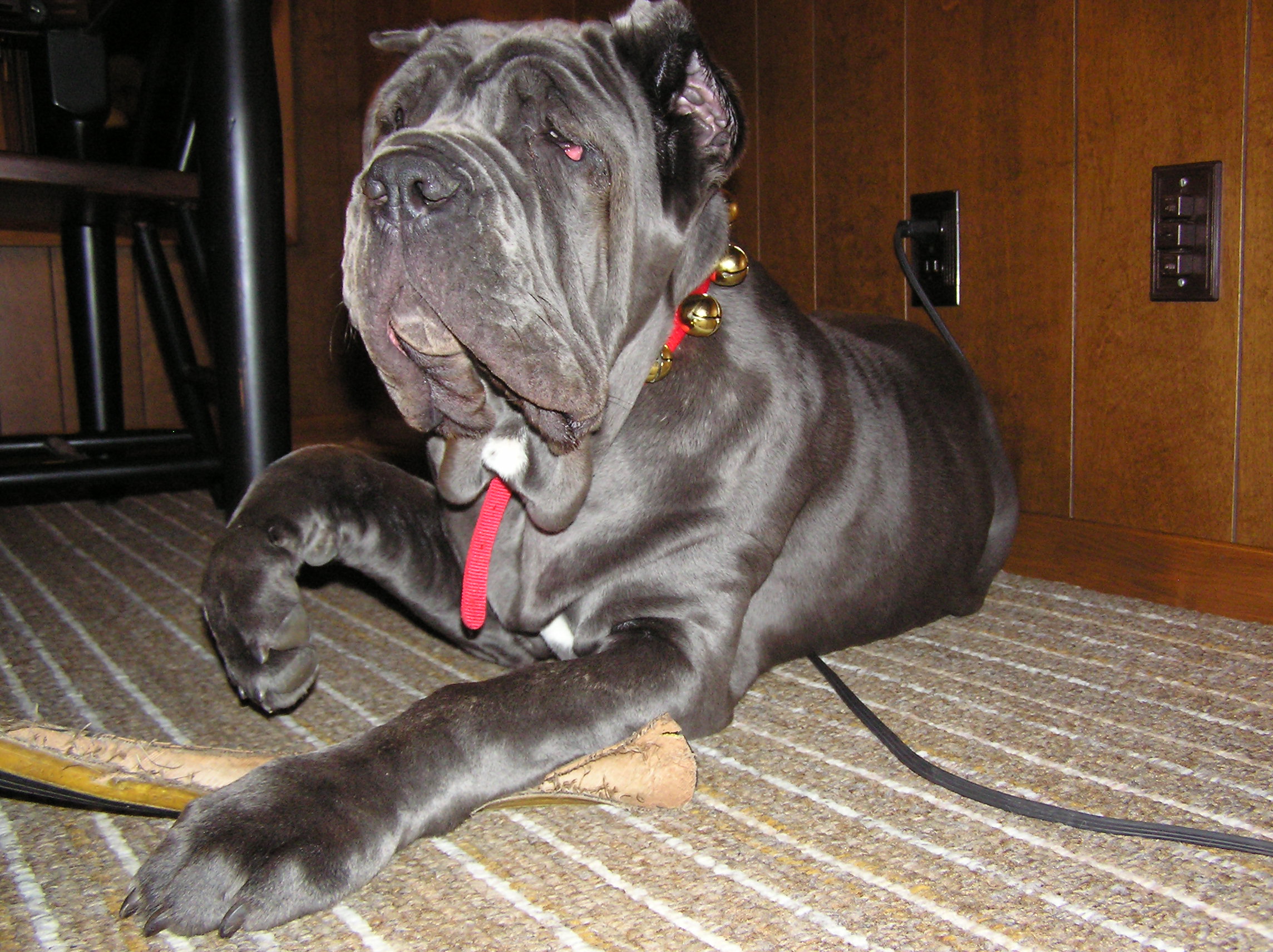 Please ask for a copy!